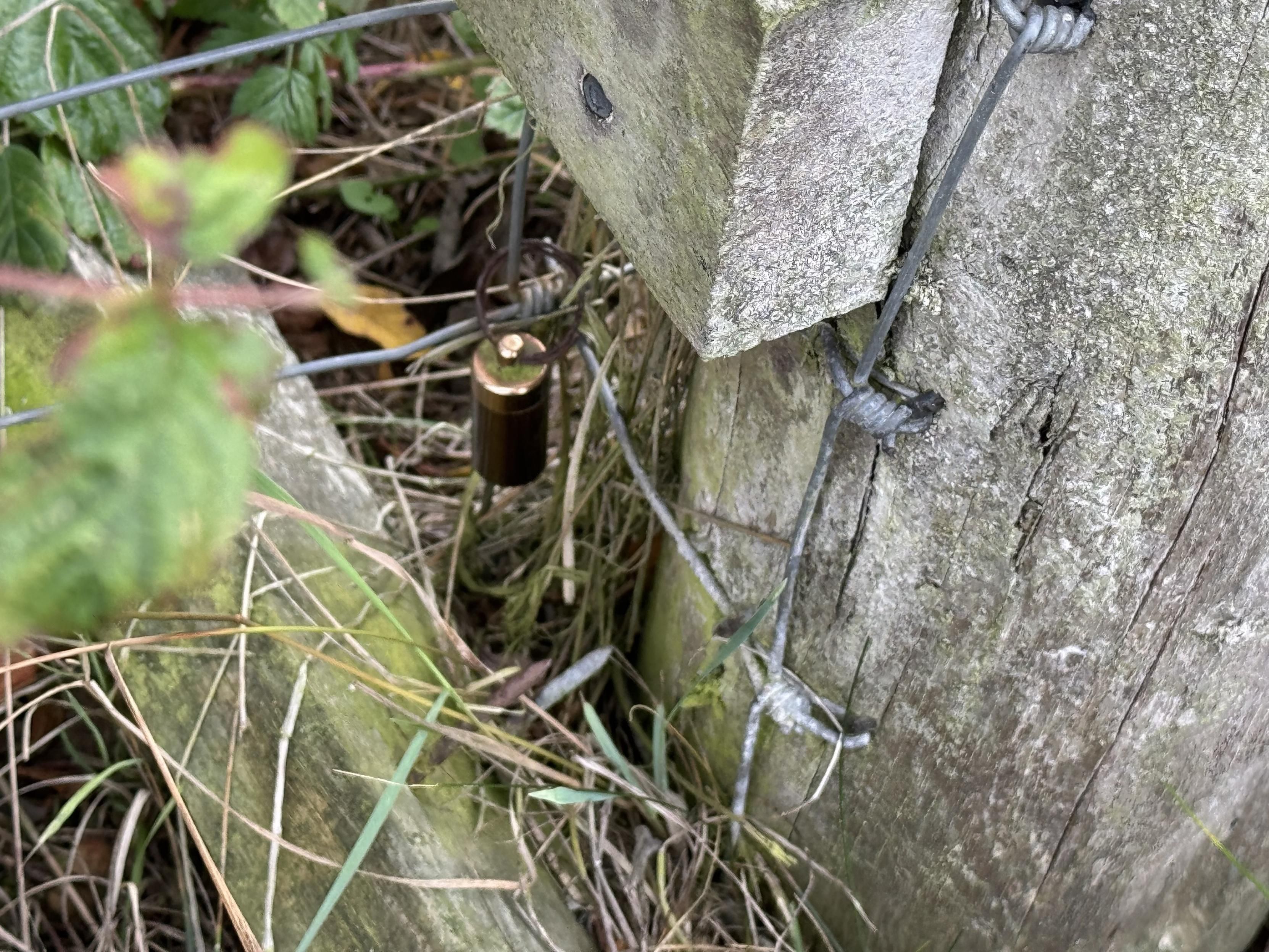 An image depicting a small metal object attached to a wooden post, surrounded by grass and foliage. The object appears to be a cylinder with a circular top, and it is connected to a wire fence.